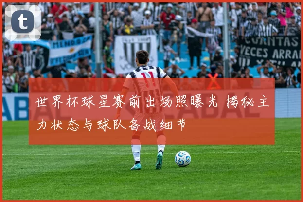 世界杯球星赛前出场照曝光 揭秘主力状态与球队备战细节