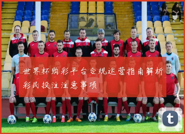 世界杯购彩平台合规运营指南解析彩民投注注意事项